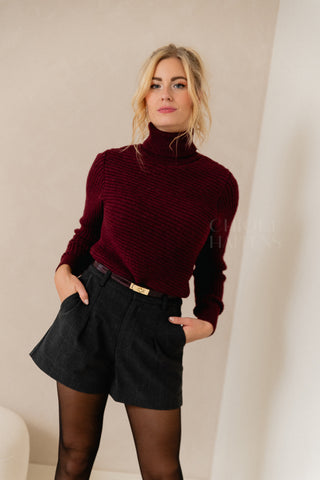 Supersoft Bordeaux Turtleneck