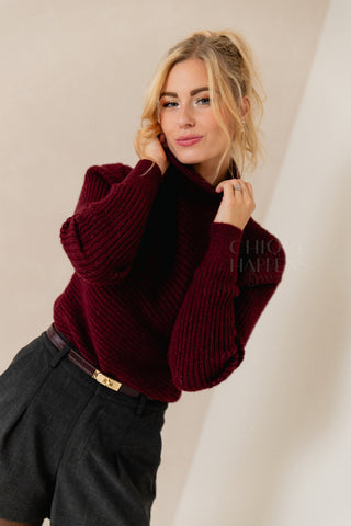 Supersoft Bordeaux Turtleneck