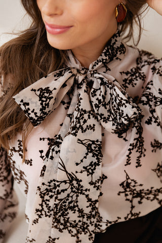 Velours Bow Blouse Brown